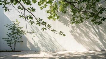 A white wall and a tree in front of it photo