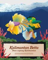 A poster with two fish on it and a sign that says kalimantan betta vector