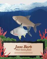 Java bar fish illustration vector
