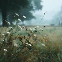 Soft Blurred Green Field in Pastel Hues photo