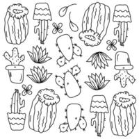 Variety of Succulent and Cactus Doodle Set vector