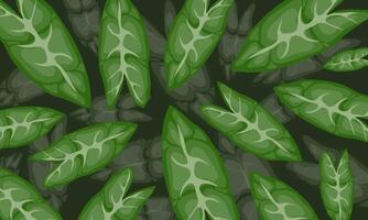 Top View Lush Green Leaf Background Pattern vector