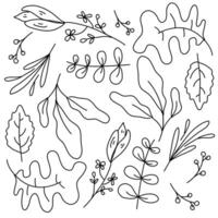 Leaf Sketch Collection with Simple Hand Drawn Style vector