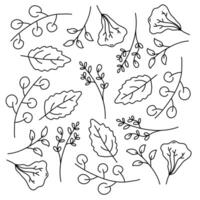Leaf Patterns and Floral Elements for Decoration and Nature Themes Featuring Organic Designs vector