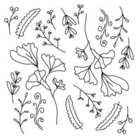 A detailed and intricate design of leaves and nature-inspired element vector