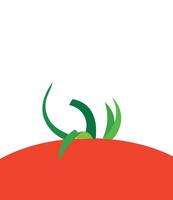 Background tomato unique design abstract vector