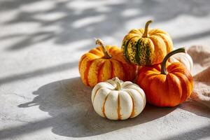 tempting pumpkin in the sunny corner on a cream background, in a clean food photography style photo