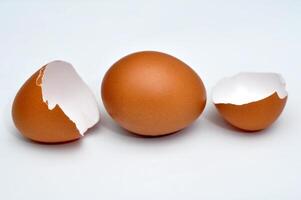 Brown egg with two cracked eggshells on a white surface photo