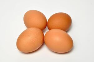 Four Egg in White Background Studio Photography photo