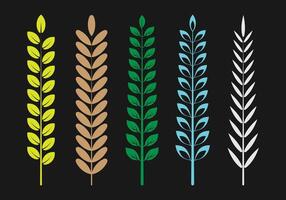 beautiful leaf set vector