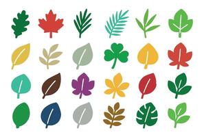 a collection of colorful leaves on a white background vector