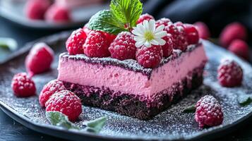 A decadent raspberry dessert presented on a delicate plate photo