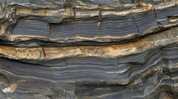 A detailed and captivating close-up of textures photo