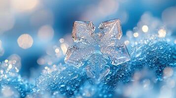 A stunning macro photograph captures a single snowflake in intricate detail on a bed of snow. photo