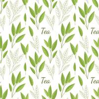 Seamless pattern of tea leaves and twigs. illustration on white background. Flat style. vector