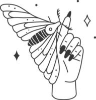 Minimalist line art illustration of a female hand with long black nails holding a large moth with patterned wings, creating a mystical and elegant atmosphere vector