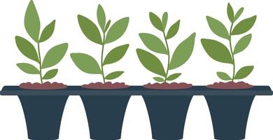 Four small plants thriving in dark pots, connected by a tray, embodying the essence of home gardening, nurturing growth, and fostering a deep connection with nature vector