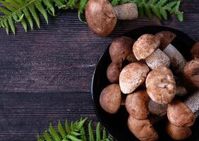 Mushroom growing on lush green moss in a forest, low angle view photo