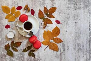 Autumn composition. Cup of coffee, fresh flowers on white background. Autumn, fall concept. Flat lay, top view, copy space photo