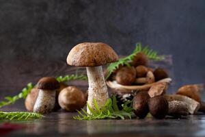 The image showcases a still life composition of brown cap boletus mushrooms arranged on a dark, rustic wooden surface. photo