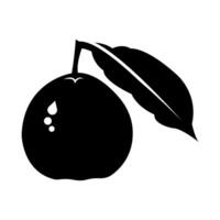 sweaty guava black background illustration vector