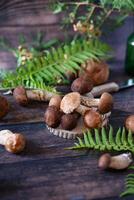 Green moss in a forest, low angle view. Mushrooms. photo