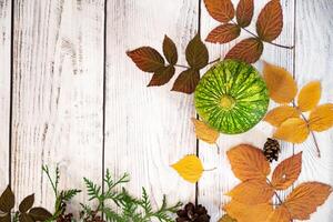 decor from pumpkins, berries and leaves on a white wooden background. Concept of Halloween. Flat lay autumn composition with copy space. photo
