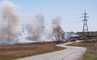 Ignition of dry grass and reeds near residential buildings. photo