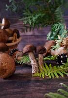 A wooden bowl filled with more mushrooms sits in the background, adding depth to the scene. photo