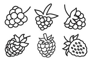 Raspberries Fruit line art set isolated flat illustration on white background vector