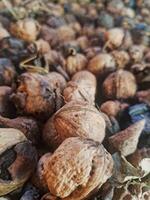 A detailed close-up of ripe walnuts, revealing both unpeeled nuts and those still in their natural husks, emphasizes their distinctive textures and rich, earthy hues in their authentic state. photo