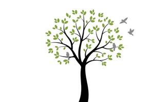 Tree design decoration with bird, green leaves with birds tree trunk vector
