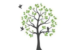 tree and birds design with green leaves vector