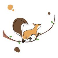 Stunning line art Squirrel design illustration, Squirrel with tree branch graphic design vector
