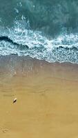 Aerial view of ocean waves and sandy beach with seagulls, A serene aerial view capturing gentle ocean waves washing onto a golden sandy beach with a few video