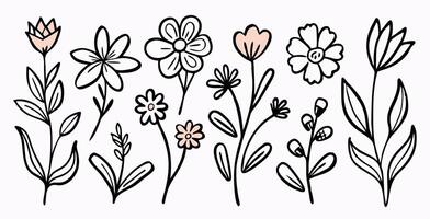 Hand Drawn Floral Elements Line Art Flowers and Botanical Illustrations vector