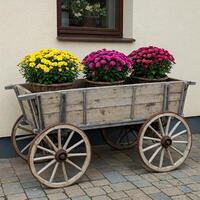 Rustic Wagon Planter with Colorful Chrysanthemums photo