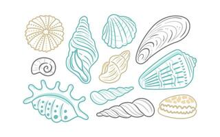 set of outlined illustrations featuring various shell designs. These intricate contours highlight the beauty of marine life, making them ideal for beach-themed projects, packaging, or decorations. vector