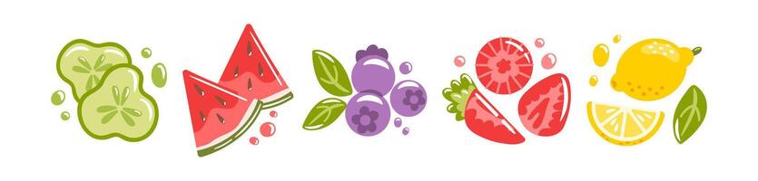 illustration featuring sliced watermelon, grapes, pomegranate, and lemon, all adorned with refreshing bubbles. This design captures the essence of summer, for any refreshing beverage project. vector