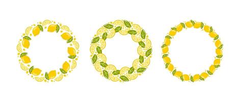 A set of round frames made of lemons, slices and green leaves. The vibrant design captures the essence of freshness and citrus charm, perfect for summer-themed projects vector