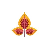 Coleus leaves flat design vector