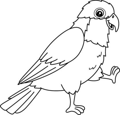 Bird Caique Isolated Coloring Page for Kids