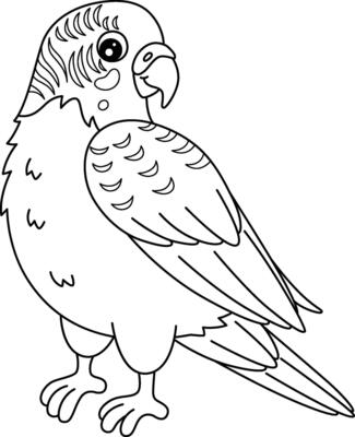 Bird Parakeet Isolated Coloring Page for Kids