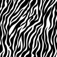 Black and white abstract zebra stripe seamless background. Abstract animal print vector