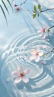 Cherry Blossoms Floating on Water with Ripples and Light photo