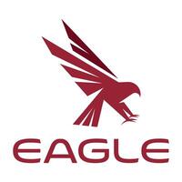 eagle bird isolated on white background vector