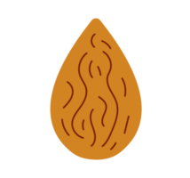 Almond Illustration. Simple Nut Icon - Clean and basic illustration of a single almond. Transparent background. png