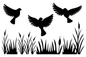 Black Bird Pattern Elements vector