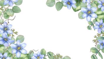 Watercolor floral frame with delicate blue hepatica flowers and eucalyptus branches with copy space for text. Botanical border for wedding invitations, spring greeting cards, and stationery design vector