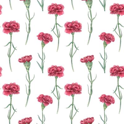 Seamless watercolor pattern with single red carnations on stems and leaves isolated background. Hand painted flowers for romantic designs, wedding stationery, textiles, and festive decoration